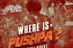 Rashmika Mandanna, Pushpa: The Rule latest updates, where is pushpa second installment is lavish, Red sandalwood