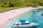 Pink Beach in Indonesia, Indonesia, which pink beach should you visit in indonesia, Boat Pink Beach in Indonesia, Indonesia, which pink beach should you visit in indonesia, Boat