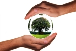 world environment day 2019 theme and slogan, world environment day slogans, world environment day here s how you can save the planet with these simple steps, World environment day