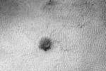 spider on Mars, Mars research, yards long spider on mars nasa, Nasa scientists