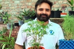 karnal municipal corporation, karnal municipal corporation, young nri entrepreneur returns to his native place with an intent to save water in gardening, Cow dung