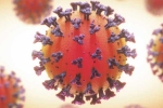 Coronavirus breaking news, Coronavirus, coronavirus is not related to respiratory system says study, Body organs