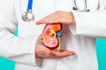 Kidney Health food, Kidney Health food, top fruits that are good for kidney health, Rape