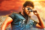 Pragya Jaiswal, Gunturodu release date, gunturodu trailer out and out mass, Gunturodu