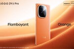 iQOO Z9s Pro 5G pictures, iQOO Z9s Pro 5G specifications, iqoo z9s pro 5g launched in india, Lamb
