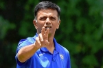 Rahul Dravid breaking news, Rahul Dravid, rahul dravid to lead team india as head coach, Bcci president