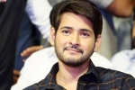 tollywood, mahesh babu wiki, actor mahesh babu s bank accounts frozen by gst dept over tax dues, Jayapradha tollywood, mahesh babu wiki, actor mahesh babu s bank accounts frozen by gst dept over tax dues, Jayapradha