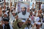 Bin Laden breaking news, Bin Laden death breaking news, bin laden continues to mobilize jihadists ten years after his death, Osama bin laden
