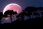 coronavirus, coronavirus, april s super pink moon to rise today biggest of the year, Super pink moon