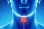 throat cancer prevention, Throat Cancer Risk Factors, how to prevent throat cancer, Throat cancer types