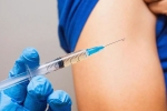 Coronavirus vaccination shot, Coronavirus, 95 percent of them who took vaccination shots are safe, Nation news Coronavirus vaccination shot, Coronavirus, 95 percent of them who took vaccination shots are safe, Nation news